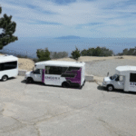 Sustainable Gardening Tips From A Professional Plant Nursery