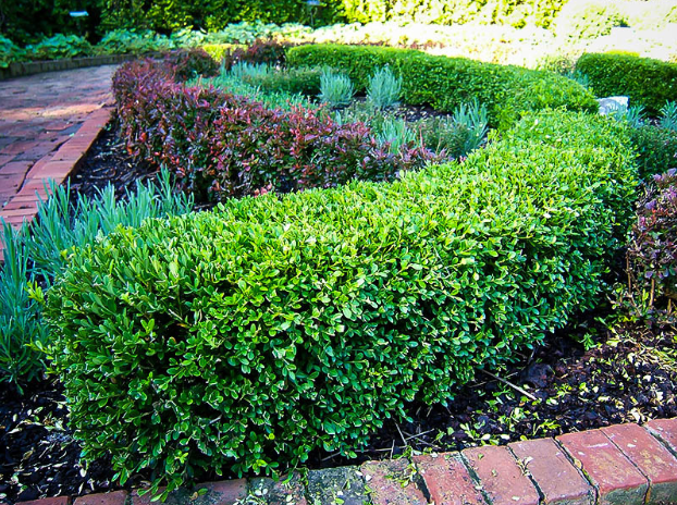 Sustainable Gardening Tips From A Professional Plant Nursery Sustainable Gardening Tips From A Professional Plant Nursery