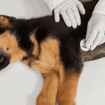 What Tenure Is Ideal for Fixed Deposit Scheme?