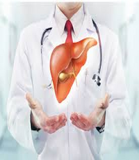 When Should You Consult a Liver Specialist? Warning Signs You Shouldn’t Ignore
